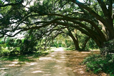 Country road 