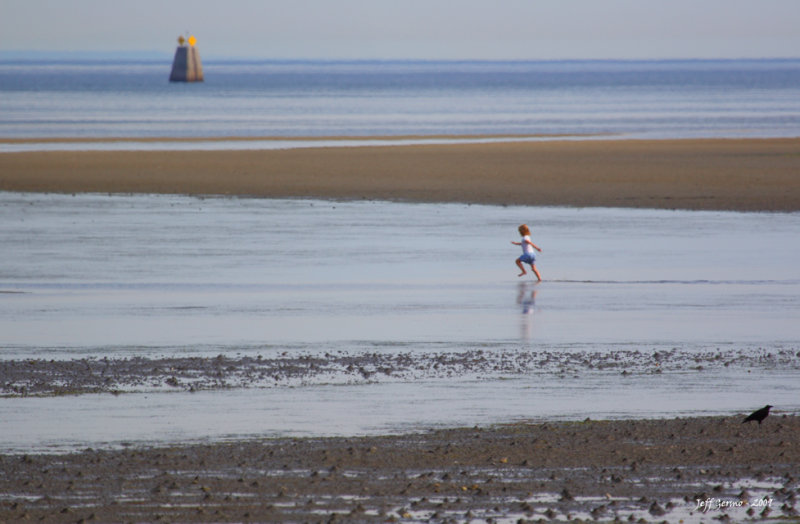 low-tide.jpg