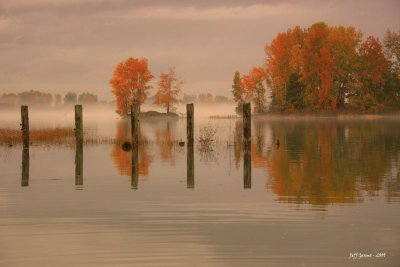 deas-slough3.jpg