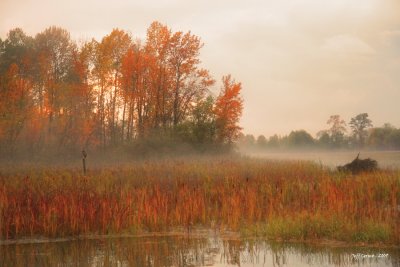 deas-slough5.jpg