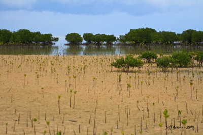 palawan---day-six-101.jpg