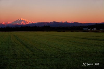IMG_1928.jpg