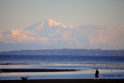 IMG_2407.jpg