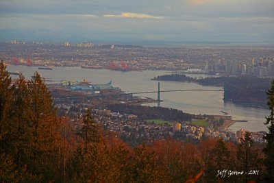 IMG_2722.jpg