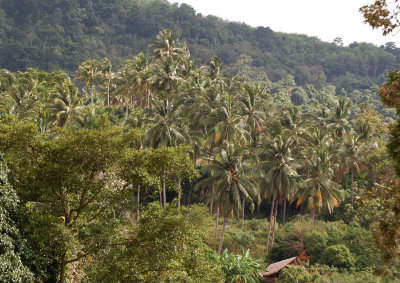 Koh Samui