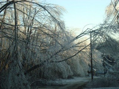 ice08e.jpg
