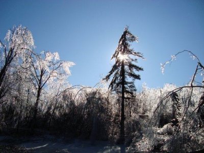 ice08i.jpg