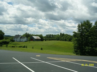 pine-field.jpg