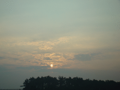 081709-am2.gif