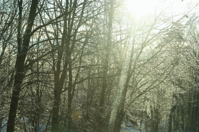 012909-ice01.gif