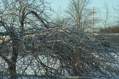 012909-ice05.gif