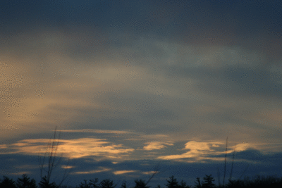 091309-03.gif