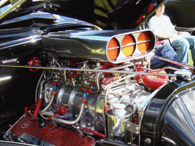 Ty-Rod091309-175.gif