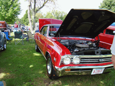 Ty-Rod091309-231.gif
