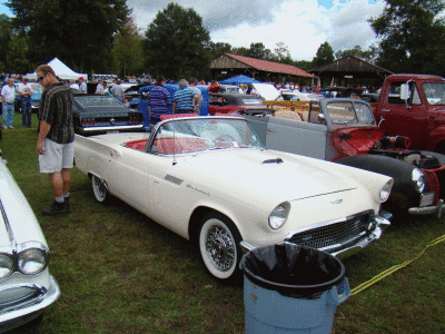 Ty-Rod091309-262.gif