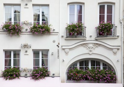 Flower Windows.jpg
