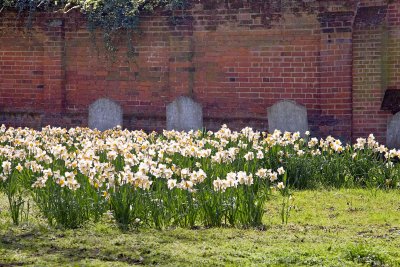 A Day in The  Castle Park at Colchester
