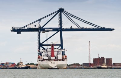 Zhen Hua 8