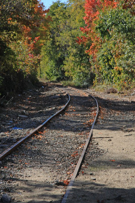 Old tracks in Gilford