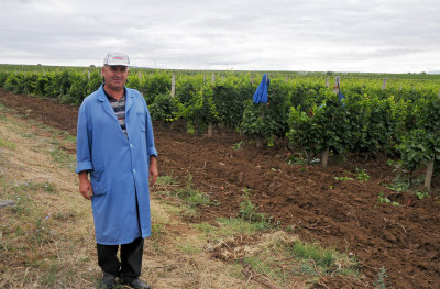 Winegrower near Kavadarci