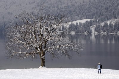 Bohinj