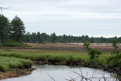 seney_71809