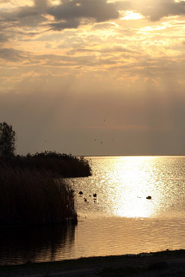 october_23_2010