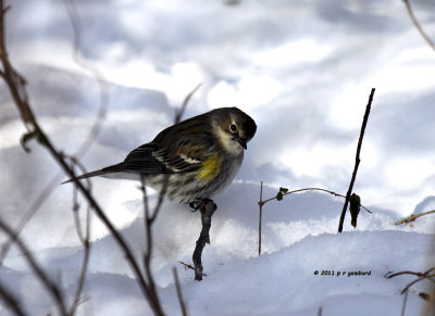 january_22_2011