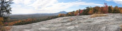 Bald rock