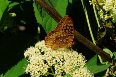 g1/13/857513/3/125915761.fXYADoZj.jpg