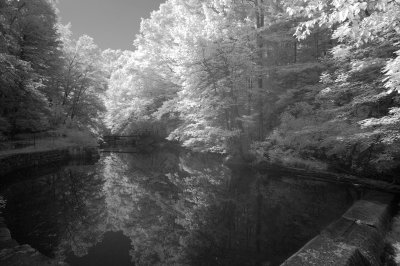 Pool Pond