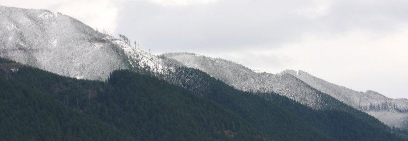 Snow in the Foothills