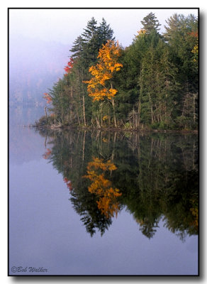 Adirondack Reflection