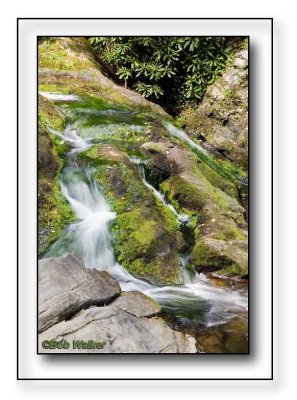 Smoky Mountain Stream