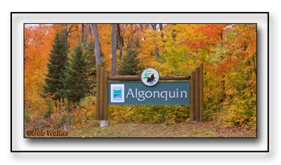Sign To Western Entrance Of Algonquin Provincial Park