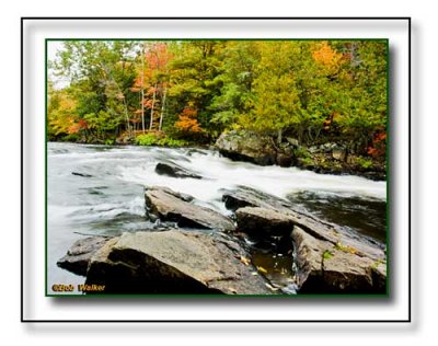Rapids As Seen Along The Shore Of The Oxtongue River