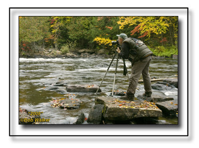 The Oxtongue Rapids Are A Favorite Location For Naturalist & Photographers Alike