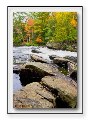 Along The Oxtongue River In Color