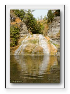 Robert H. Treman Park's Waterfalls