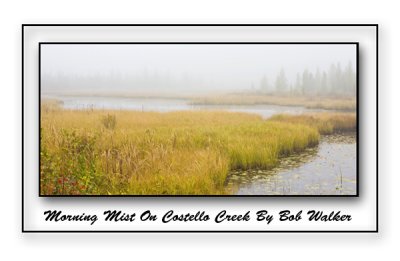 Morning Mist On Costello Creek