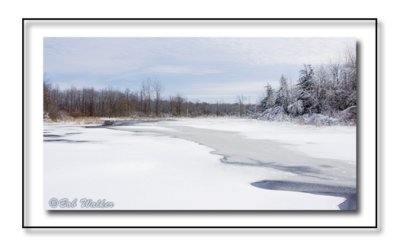A Frozen Pond In Winter's Cloak