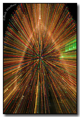A Sparkling Christmas Tree