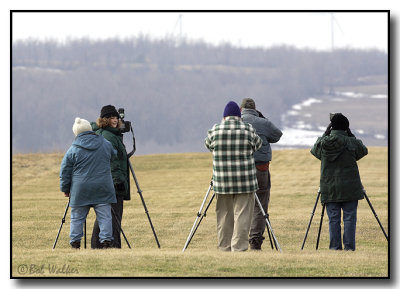 Out In The Field And Setting Up To Capture An Image Of A Snowy Owl