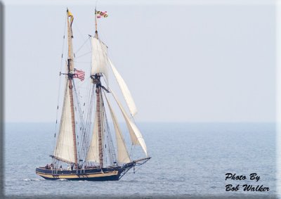 The Pride Of Baltimore Sails To It's Destination