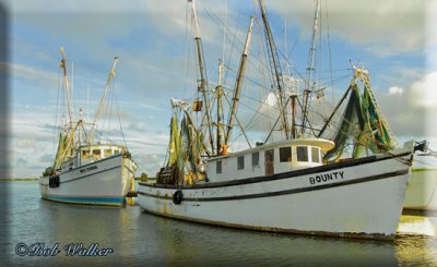 Shrimp Boats On The Edge Of Town