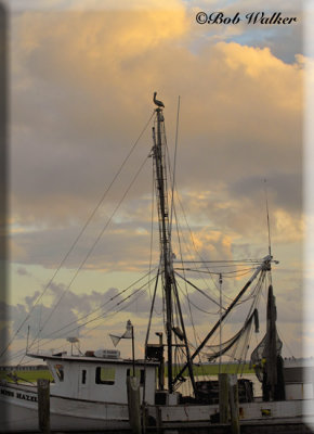 Tall Mast And A Perch At Sunset