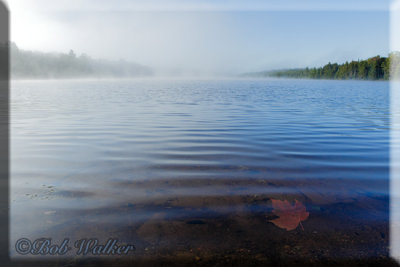 Adirondack Pond In Early Morning