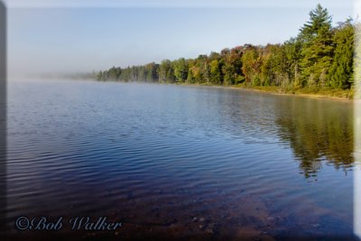 Adirondack Pond Shoreline In Early Morning