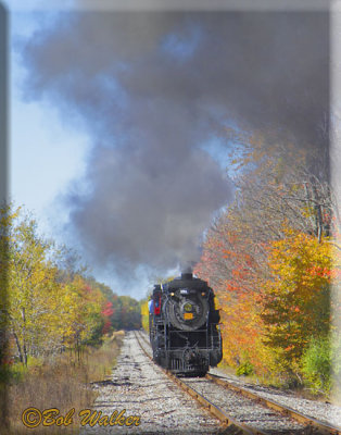 3254 Canadian National Railway's Steam Engine Out On The Line
