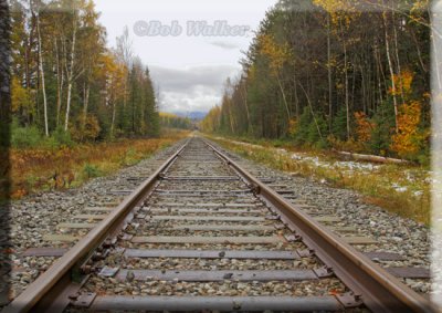 Looking Down A Track During Fall Foliage